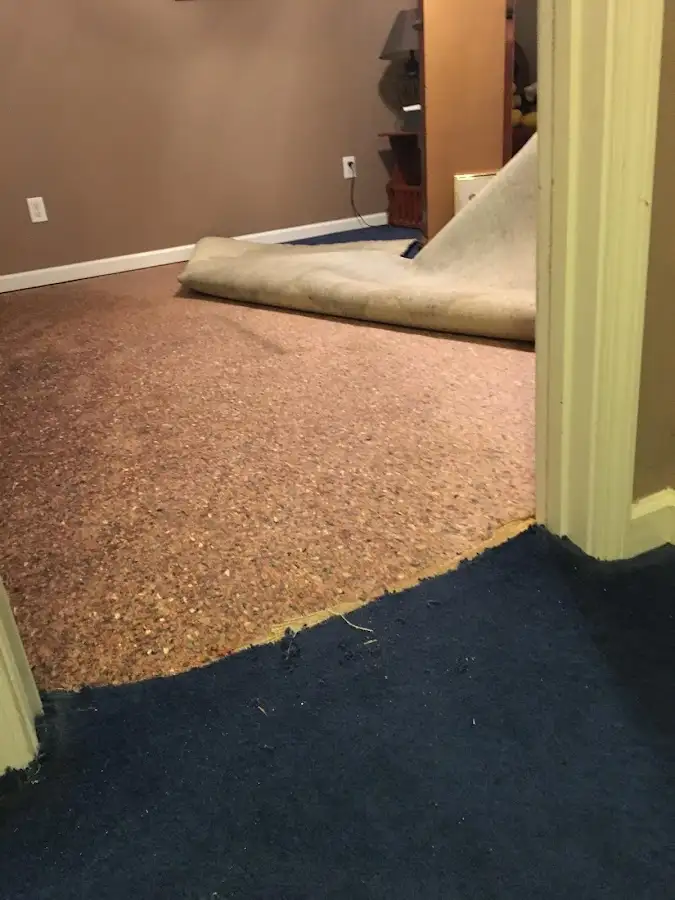 Carpet pad removal revealing water damage during Water Mitigation Services in Bellmawr