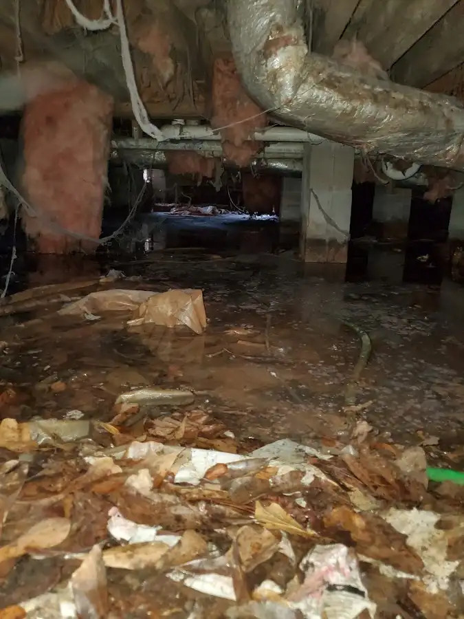 Crawl space flood assessment for Leak Detection & Repair in Bellmawr