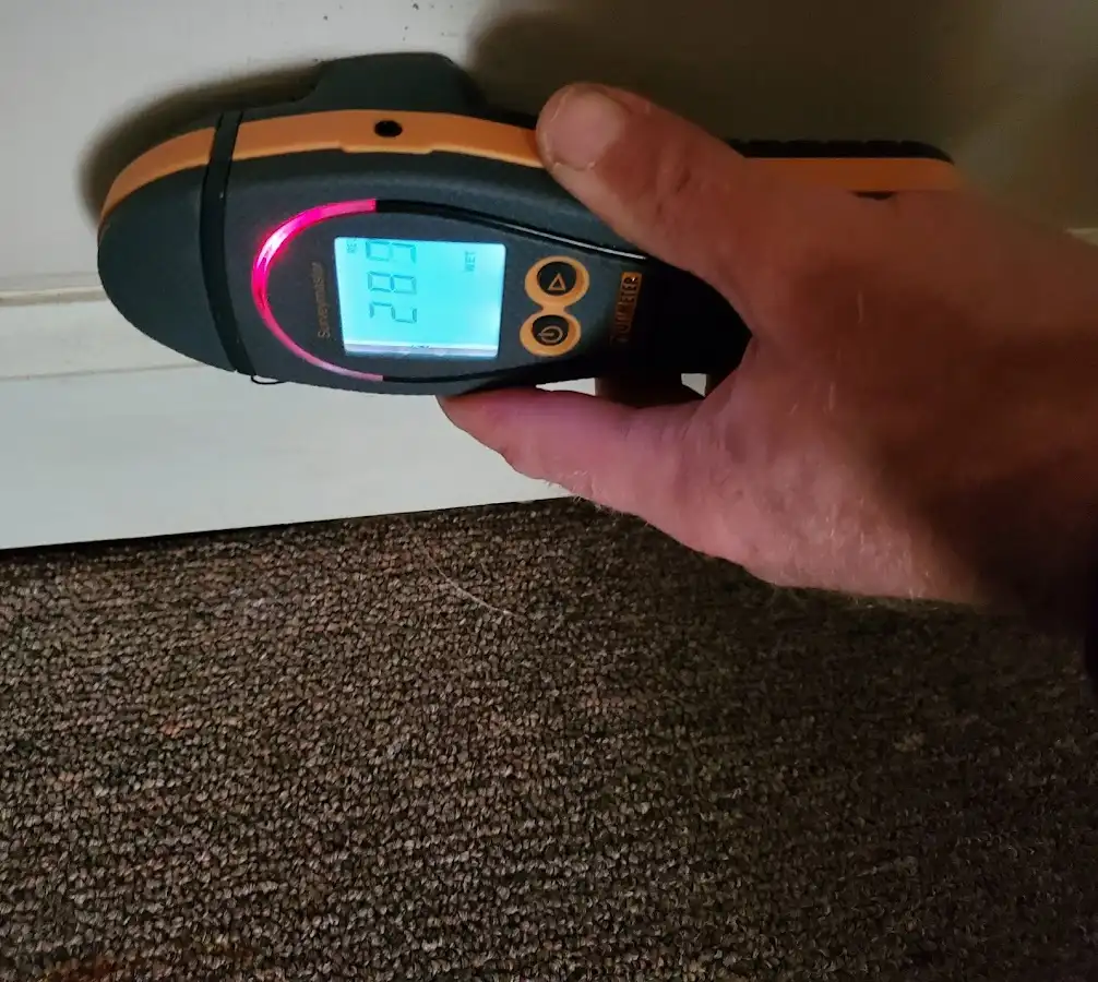 Moisture detection at baseboard during Sewage Cleanup & Sanitation in Bellmawr